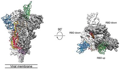 While We Wait for a Vaccine Against SARS-CoV-2, Why Not Think About Available Drugs?
